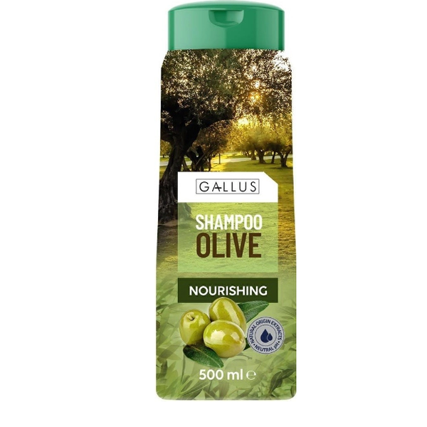 Шампунь для волос Olive, Gallus 500 мл