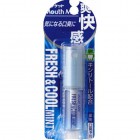 Освежитель для полости рта Mouth Mist Fresh&Cool mint со вкусом ментола, LION, 5 мл Освежитель для полости рта Mouth Mist Fresh&Cool mint со вкусом ментола, LION, 5 мл