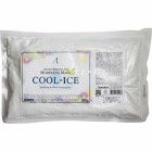 Маска альгинатная с охлаждающим и успокаивающим эффектом  Cool-Ice Modeling Mask, ANSKIN 240 г (пакет)