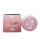 Питательный крем с экстрактом муцина улитки Sangtumeori Stem Cell Clinic Nourishing Cream Snail, JUNO Корея 100 мл Питательный крем с экстрактом муцина улитки Sangtumeori Stem Cell Clinic Nourishing Cream Snail, JUNO Корея 100 мл