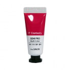 Универсальный цветной пигмент Semi Pro Multi Color, оттенок 17 Cranberry, THE SAEM Корея 5 мл Универсальный цветной пигмент Semi Pro Multi Color, оттенок 17 Cranberry, THE SAEM Корея 5 мл