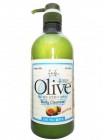 Гель для душа с экстрактом оливы (для жирной кожи), OLIVE Южная 750 мл Гель для душа с экстрактом оливы (для жирной кожи), OLIVE Южная 750 мл