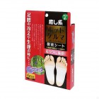 Пластыри шлаковыводящие с ароматом лаванды Relax Hot Germa Hadariki, KOKUBO Япония, 3 пары. Пластыри шлаковыводящие с ароматом лаванды Relax Hot Germa Hadariki, KOKUBO Япония, 3 пары.
