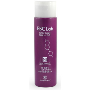 Увлажняющий шампунь для сухой кожи головы EBC Lab Scalp Clear More Than Shampoo, Momotani 290 мл