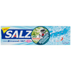 Зубная паста для комплексной защиты Salz Fresh, Lion 90 г Зубная паста для комплексной защиты Salz Fresh, Lion 90 г