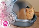 Японский наполнитель для кошачьего туалета