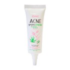 Крем для проблемной кожи с алоэ вера, маслом чайного дерева и витамином В6 Acne Spots Cream, ISME 10 г Крем для проблемной кожи с алоэ вера, маслом чайного дерева и витамином В6 Acne Spots Cream, ISME 10 г
