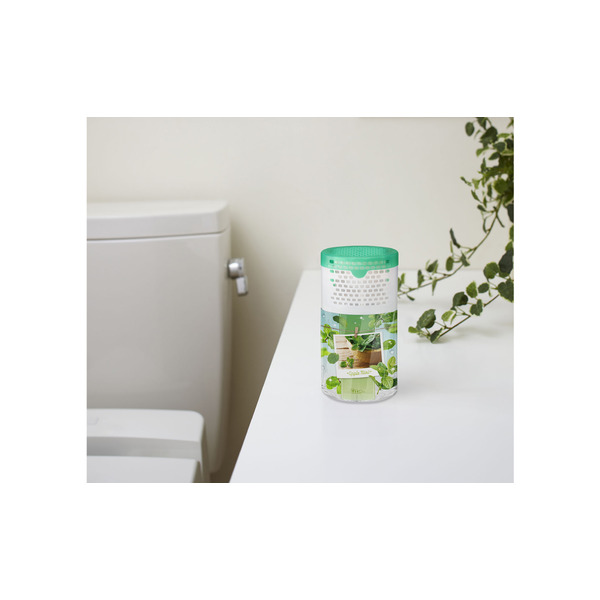 Жидкий дезодорант–ароматизатор для туалета (c ароматом яблочной мяты) Shoushuuriki, ST 400 мл