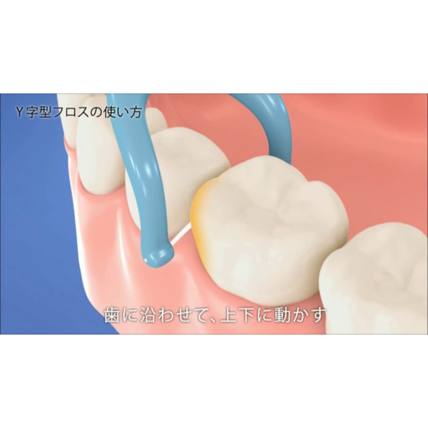 Y-образная зубная нить Clinica для чистки межзубного пространства, LION 30 шт.