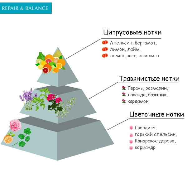 Солнцезащитная база под макияж без добавок для чувствительной кожи лица SPF49/PA+++, Meishoku 40 г