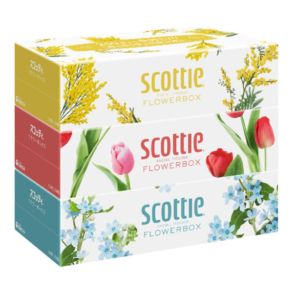 Салфетки двухслойные, Scottie Flowerbox, Crecia, 250 шт. х 3 коробки 