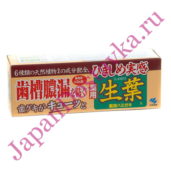 Зубная паста для профилактики заболеваний десен Японский кипарис (мятно-гвоздичная), KOBAYASHI 110 г