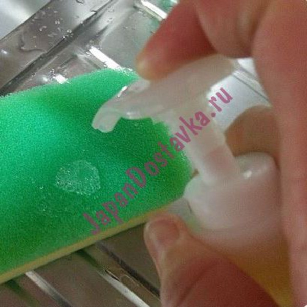 Средство для посуды, овощей и фруктов, Chamgreen - Айва, CJ Lion ( ) 450 мл