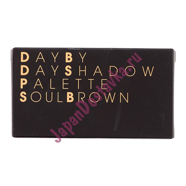 Палета теней для век Day By Day Shadow Palette, оттенки Soul Brown (Коричневая Душа), SECRET KEY   3 г х 4