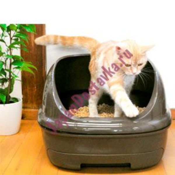 Биотуалет для кошек (коричневый) набор: лоток открытый, лопатка, наполнитель 2 л, подстилка, KAO